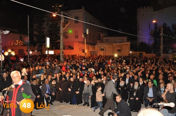 tree light 1208 (1).JPG